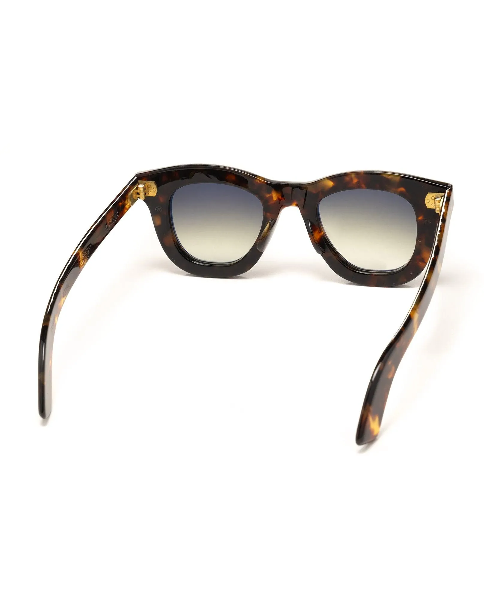 Casse / Wellington 46 Sun Glasses Dark Tort / Sun