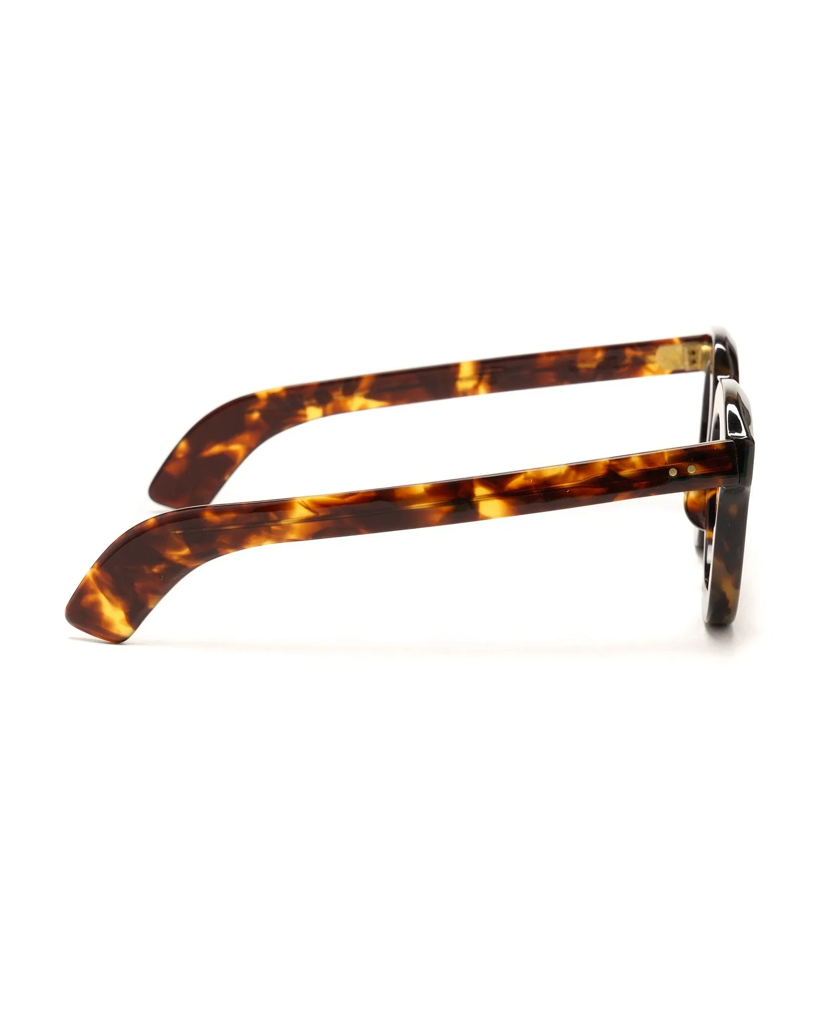 Casse / Wellington 46 Sun Glasses Dark Tort / Sun