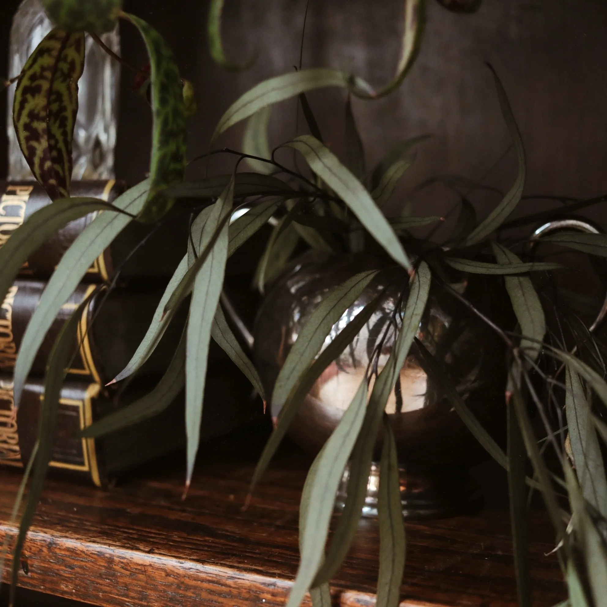Vintage | Able Small Vase
